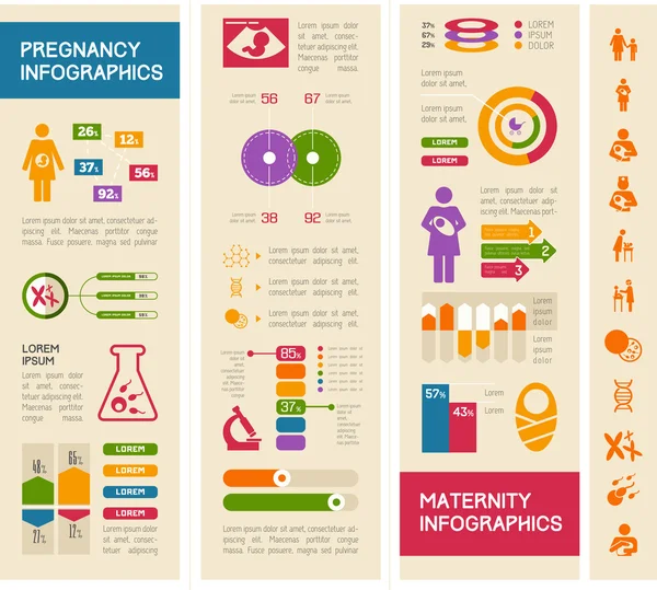 Moderskap infographic mall. — Stock vektor