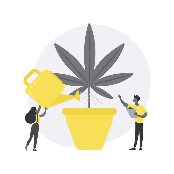 Cultivo de cannabis abstrato conceito vetor ilustração. — Vetor de Stock