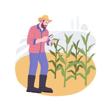 Bitki hastalıklarının biyolojik kontrolü karikatür vektör çizimlerini izole etti. Büyüteçle çiftçi bitkilere, modern tarıma organik tarım endüstrisi karikatürlerine bakıyor..