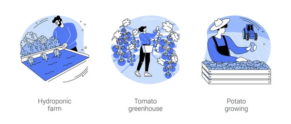 Vegetable Industry Isolated Cartoon Vector Illustrations Set Hydroponic Farm Leafy —  Vetores de Stock