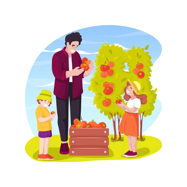 Harvesting Isolated Cartoon Vector Illustration Children Picking Tomato Plant Family — Image vectorielle