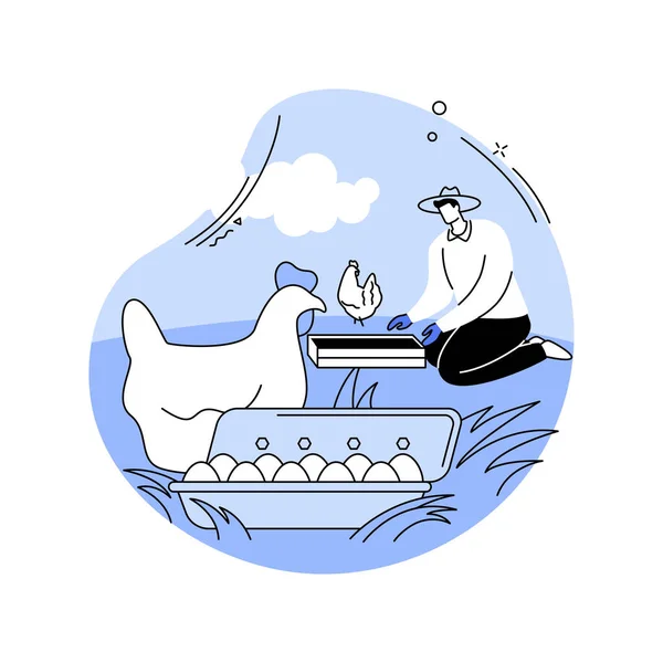 Volný Výběh Vejce Izolované Kreslené Vektorové Ilustrace Farmer Field Chicken — Stockový vektor