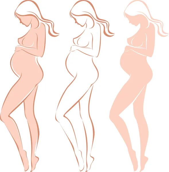 Silhouette féminine enceinte — Image vectorielle