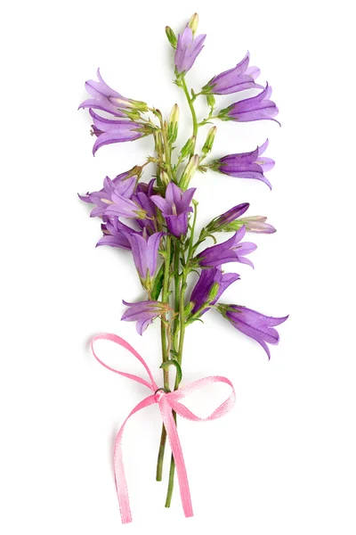 Bell-flowers bouguet — Stock Photo, Image