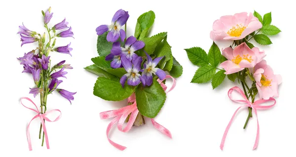 Bouquet of wild violets, dog rose and bell flowers — Stock Photo, Image