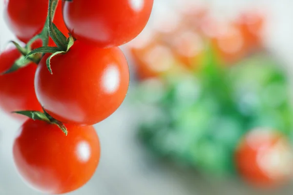 Tomates frescos — Fotografia de Stock