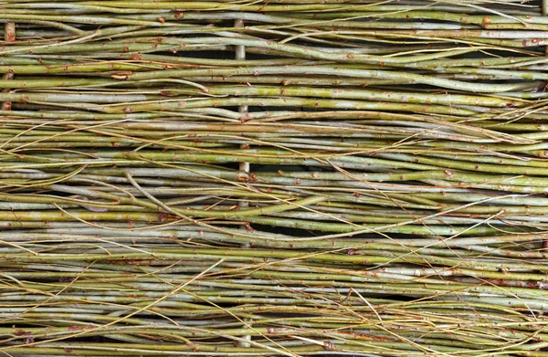 Wattle
