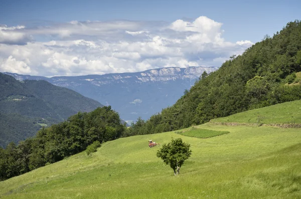 Paesaggio rurale in Alto Adige (Bolzano) ) — Foto Stock