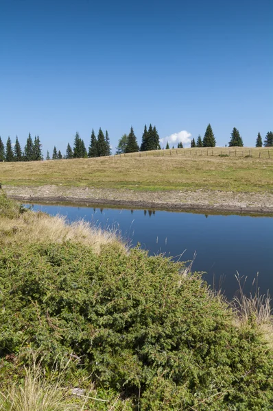 Lago de Schwarzsee cerca de Verditz (Carintia, Austria) ) —  Fotos de Stock