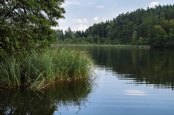 Spokojne jezioro saissersee w pobliżu velden am Wörthersee (Karyntia, — Zdjęcie stockowe