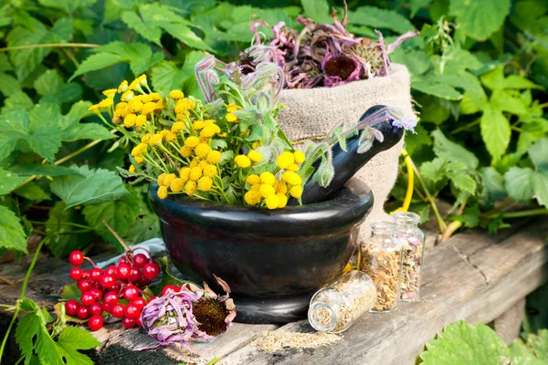 Heilkräuter im Mörser, Kräutermedizin — Stockfoto