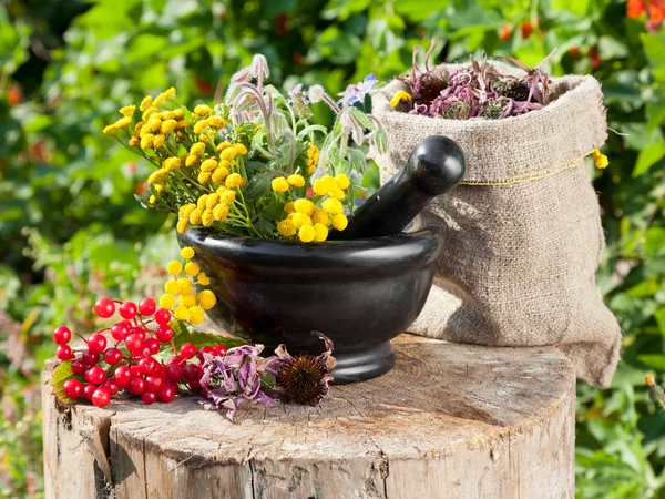 Hierbas curativas en mortero, hierbas medicinales — Foto de Stock