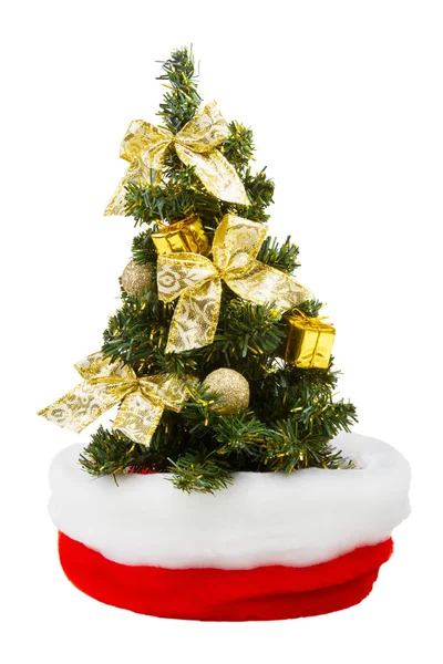 Small christmas tree in Santa Claus Hat — Stock Photo, Image