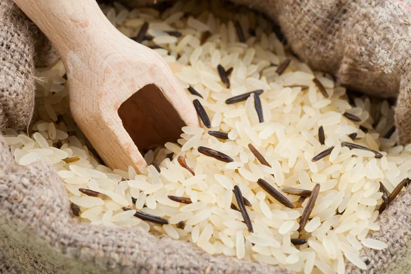 Rýže v pytli — Stock fotografie