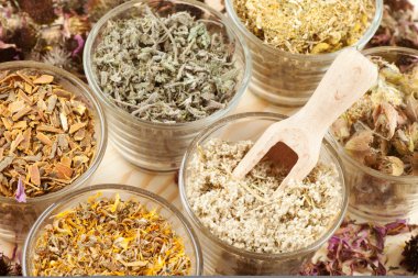 healing herbs in glass cups, herbal medicine clipart