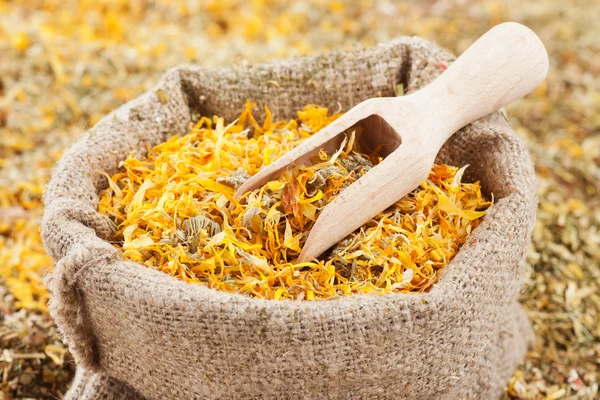 Bag of healing herbs (marigold, calendula) and wooden scoop, herbal medicine — Stock Photo, Image