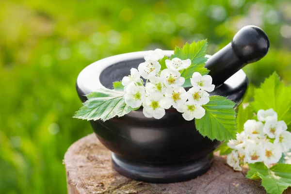 Mortero con espino flor, hierbas medicinales —  Fotos de Stock