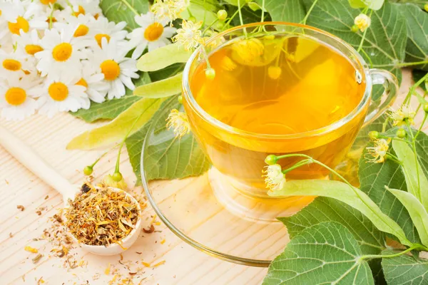 Липа и ромашка цветы и чашка здорового чая, травяные медикаменты — стоковое фото