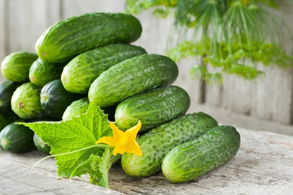 Cetrioli con fiore giallo, foglie e aneto su backgrou di legno — Foto Stock