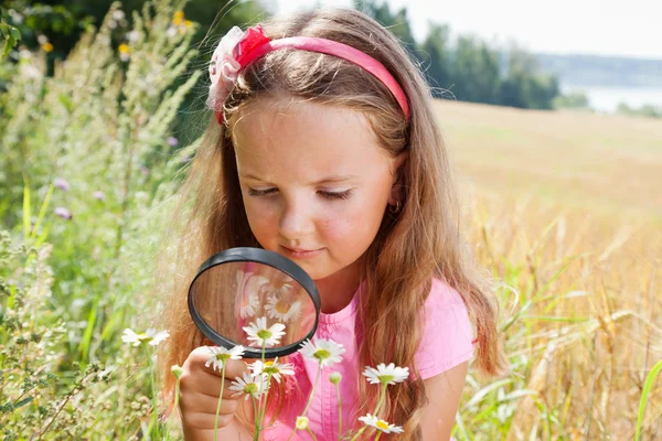 Κοριτσάκι εξερεύνηση της Μαργαρίτας λουλούδι που μέσα από το μεγεθυντικό gl — Φωτογραφία Αρχείου