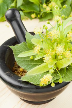 harç ve havaneli ile ıhlamur çiçek, bitkisel ilaç