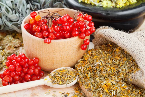 Medicinal herbs on table, herbal medicine — Stock Photo, Image