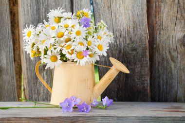 ahşap zemin üzerinde summerdaisies çiçekli sulama olabilir