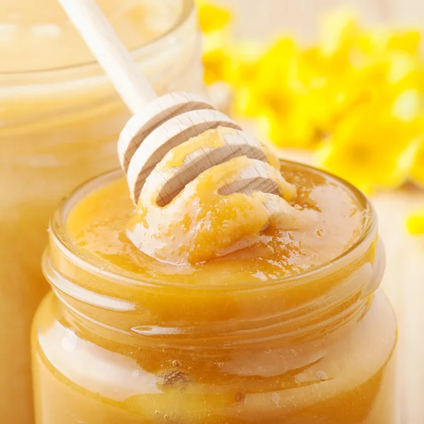 Jars of honey, wooden drizzler and yellow blossom twig — Stock Photo, Image