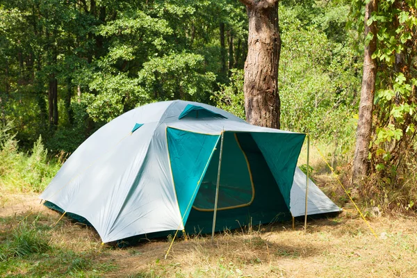 Camping tent in bos — Stockfoto