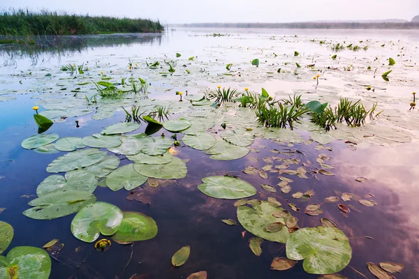 Salida del sol en el río — Foto de Stock