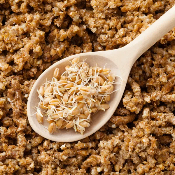 Germogli di grano in cucchiaio di legno e terra germogliato grani backgro — Foto Stock
