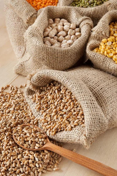 Hessian bag with wheat and sack with grains — Stock Photo, Image