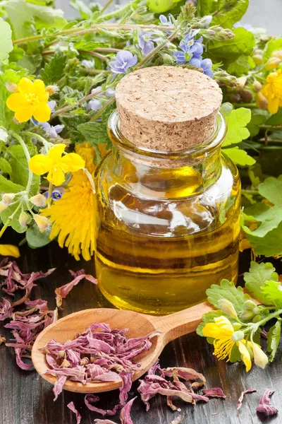 Essential oil and healing herbs — Stock Photo, Image