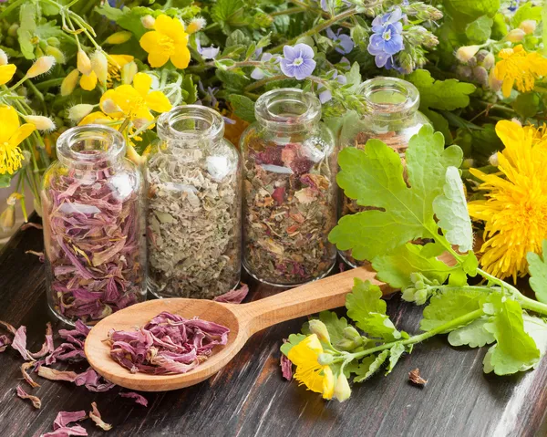 Hierbas curativas en botellas de vidrio, plantas sanas y cuchara de madera — Foto de Stock