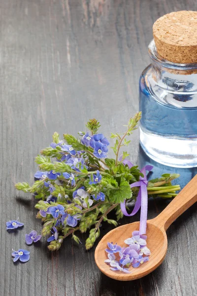 Essential oil, wooden spoon and healing flowers — Stock Photo, Image