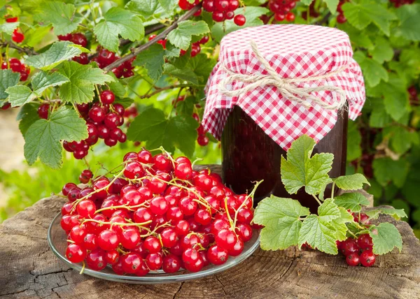 Grosellas rojas y tarro de mermelada — Foto de Stock