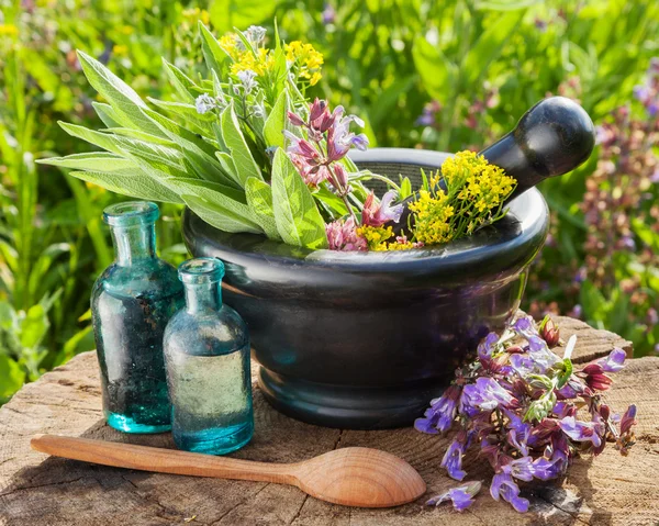 Mortero con hierbas curativas y salvia — Foto de Stock