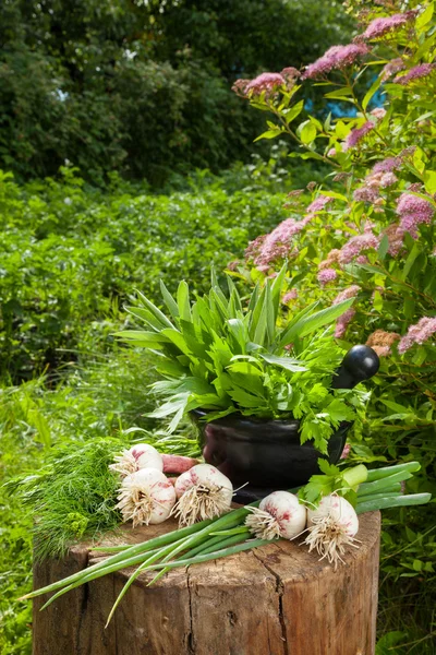 Ervas aromatizantes frescas e alho no toco de madeira no jardim — Fotografia de Stock