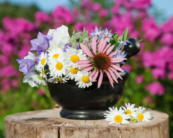 Mortar with healing herbs, herbal medicine — Stock Photo, Image