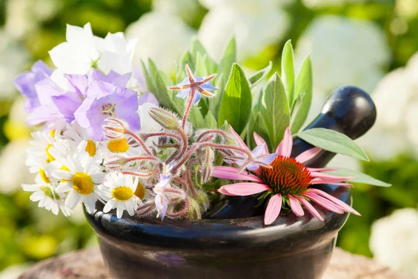 Mörser mit Heilkräutern im Freien — Stockfoto