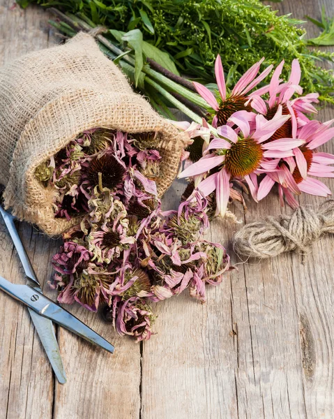 Bunch of healing coneflowers, estragon and sack with dried echin — Stock Photo, Image