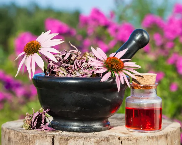 Mortero con flores y vial con aceite de esencia en el jardín —  Fotos de Stock