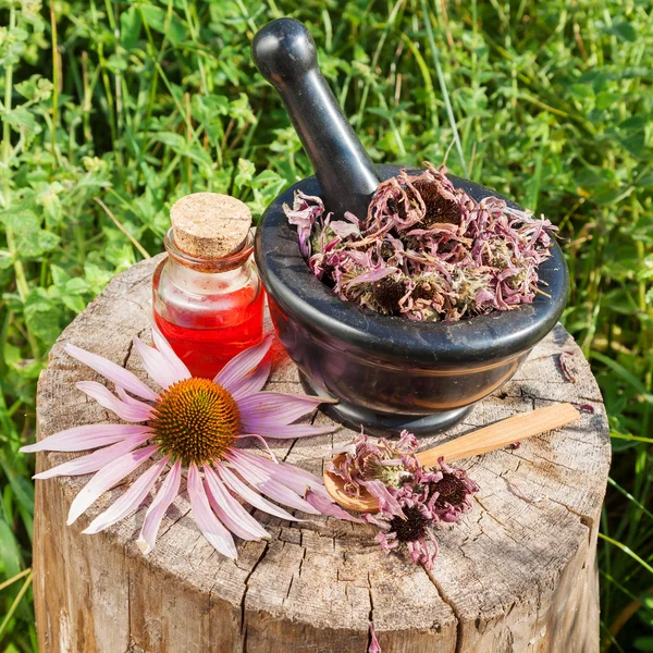 Czarny zaprawy z suszonych coneflowers i fiolka z olejku — Zdjęcie stockowe