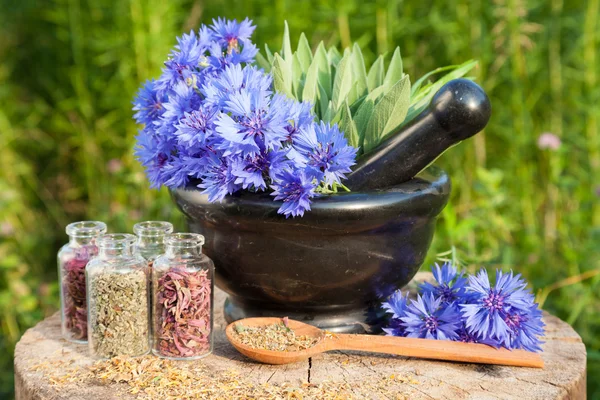 Black mortar with blue cornflowers, sage, wooden spoon and glass — Stock Photo, Image