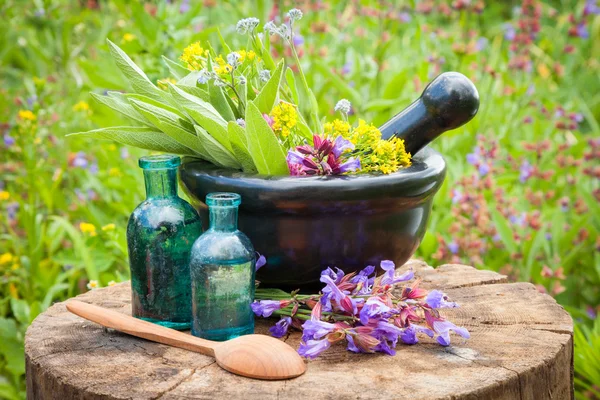 Black mortar with healing herbs and sage, glass bottle of oil — Stock Photo, Image