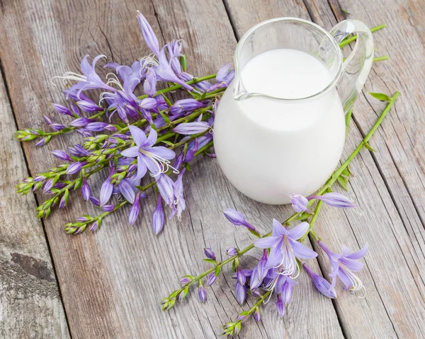 Mléko džbánek a bluebell květiny parta — Stock fotografie