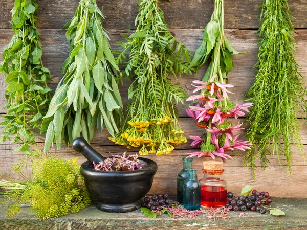 Bunches of healing herbs on wooden wall, mortar with dried plant — Stock Photo, Image