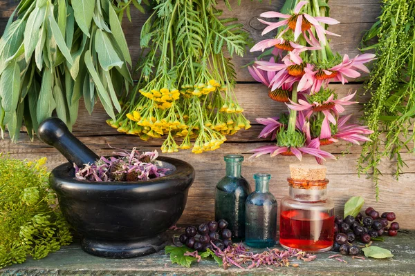 Bunches of healing herbs on wooden wall, mortar, bottles and ber — Stock Photo, Image