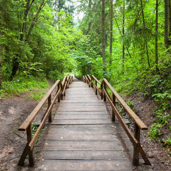 Escada de madeira para a floresta — Fotografia de Stock