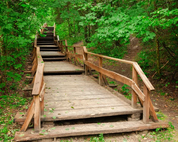 Escadaria para floresta de montanhas — Fotografia de Stock